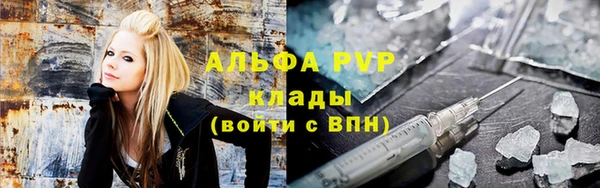 сатива Вяземский