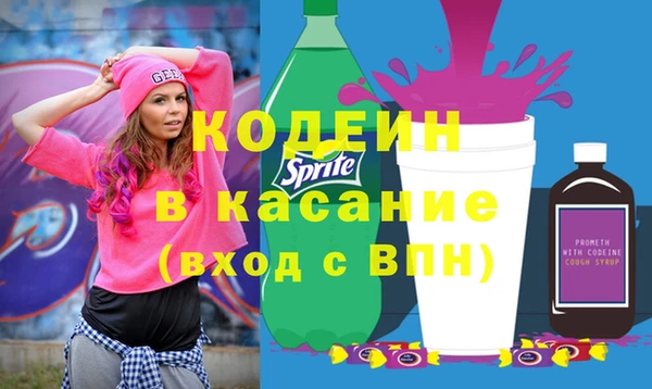крисы Верхний Тагил