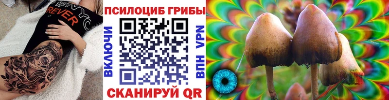 как найти   Вичуга  Псилоцибиновые грибы ЛСД 