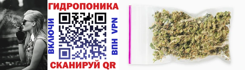 Конопля ГИДРОПОН Вичуга